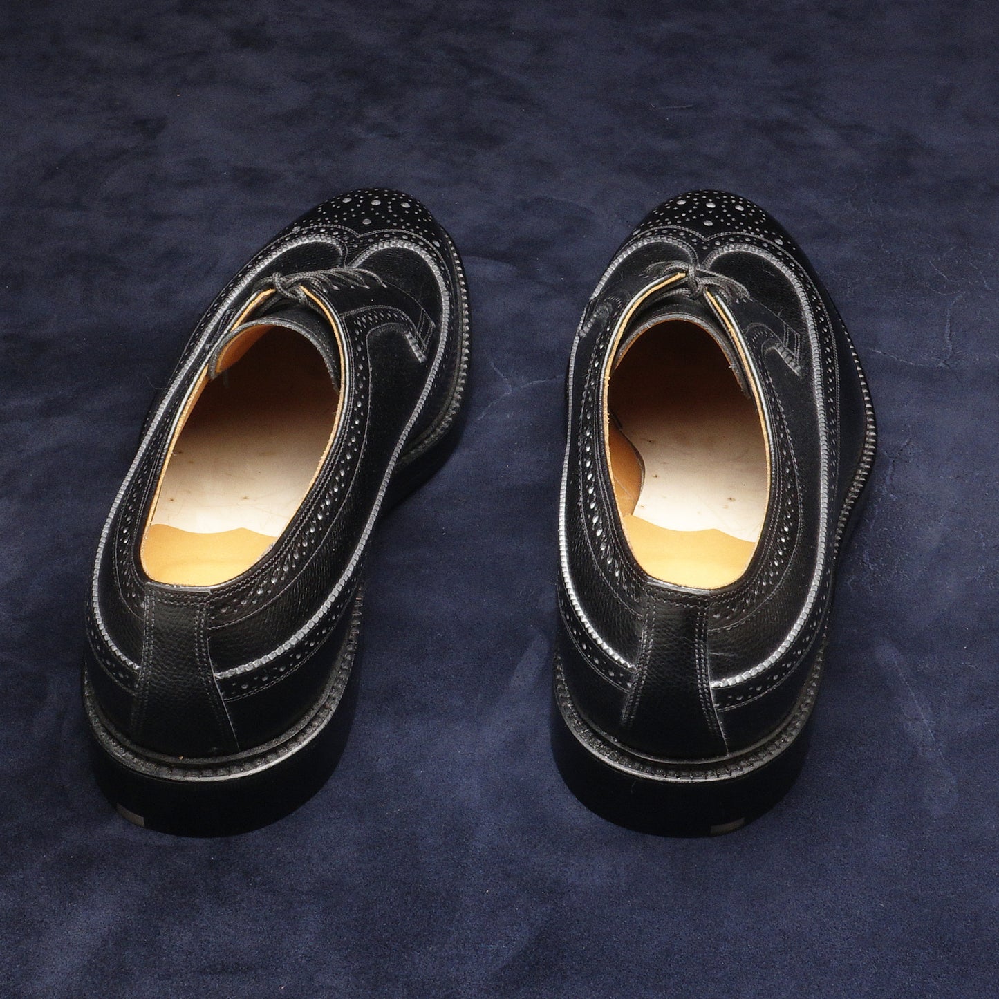 22354 Long Wing Black Cashmere Calf